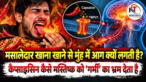Mirch Teekhi Kyon Lagti Hai Hot Why Chili Burns Explained in Hindi Mirch Teekhi Kyon Lagti Hai Hot Why Chili Burns Explained in Hindi