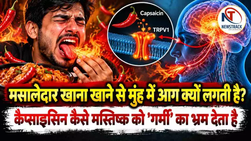 Mirch Teekhi Kyon Lagti Hai Hot Why Chili Burns Explained in Hindi
