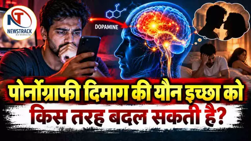 Pornography Effects on Brain Health Issues | Sexual Health Problems