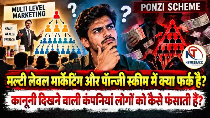 Multi Level Marketing Pyramid Scheme Ponzi Scheme Explained
