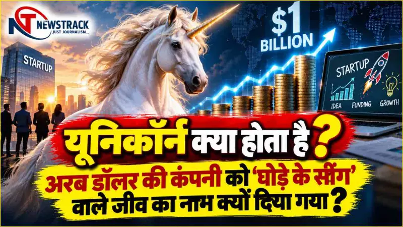 What Is Unicorn Company Explained in Hindi What Is Unicorn Company Explained in Hindi