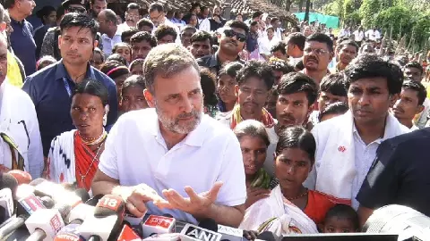 ‘सरकार का अस्तित्व ही नहीं’, बालाघाट में बच्चों की मौत पर राहुल गांधी का MP सरकार पर हमला ‘सरकार का अस्तित्व ही नहीं’, बालाघाट में बच्चों की मौत पर राहुल गांधी का MP सरकार पर हमला