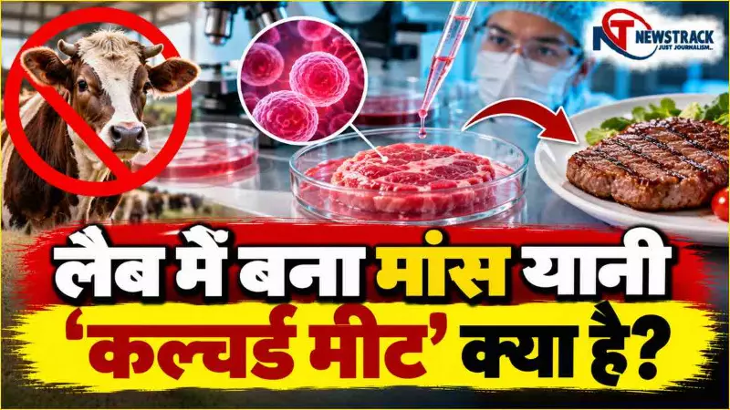 Cultured Meat Explained in Hindi Cultured Meat Explained in Hindi