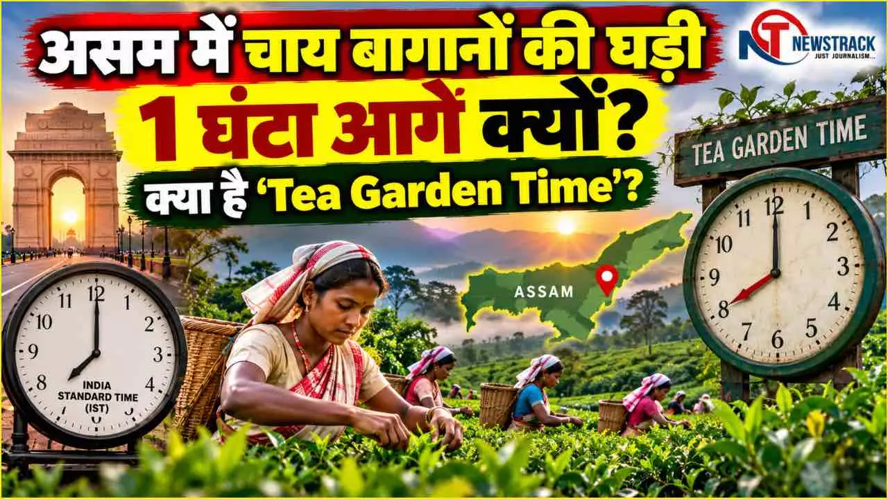 Tea Garden Time Assam Tea Garden Time Explained in Hindi Tea Garden Time Assam Tea Garden Time Explained in Hindi