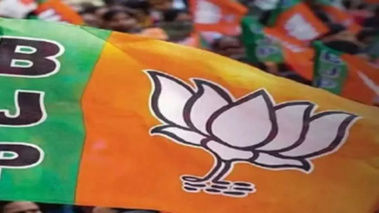 UP News UP News