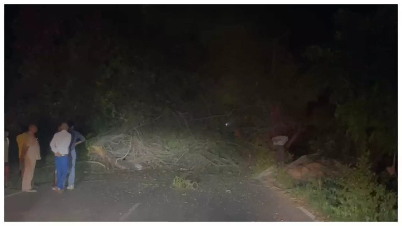 Lonar-Jagdishpur road felled, traffic disrupted, alternative roads also closed Lonar-Jagdishpur road felled, traffic disrupted, alternative roads also closed