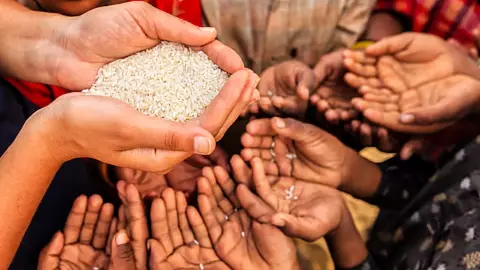 Global Food Crisis 2026