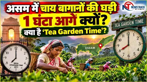 Tea Garden Time Assam Tea Garden Time Explained in Hindi Tea Garden Time Assam Tea Garden Time Explained in Hindi