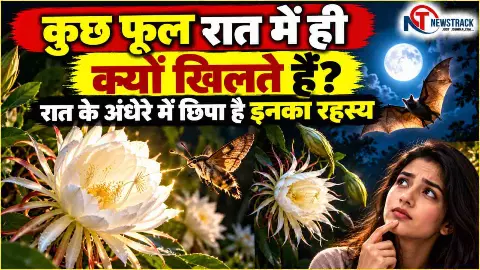 Why Do Flowers Bloom at Night Explained in Hindi