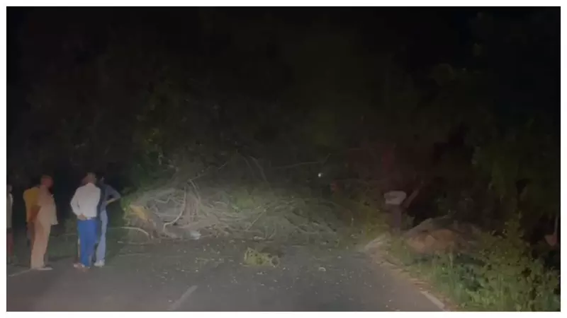 Lonar-Jagdishpur road felled, traffic disrupted, alternative roads also closed