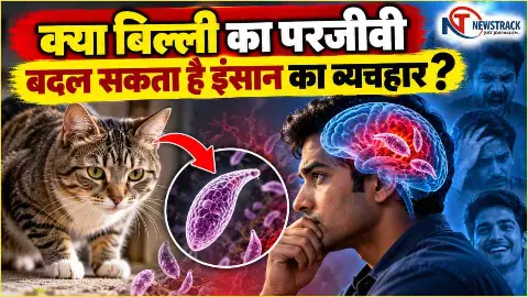 Toxoplasma Gondii Parasite Infection Information in Hindi Toxoplasma Gondii Parasite Infection Information in Hindi