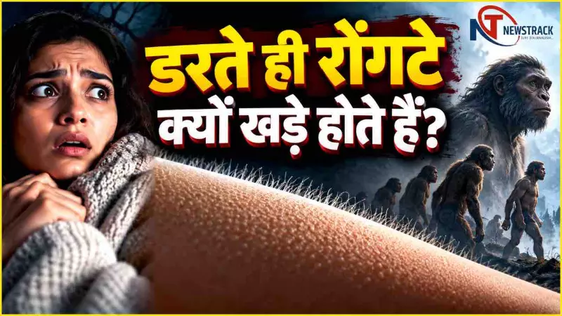 Rongte Kyon Khade Hote Hain | Goosebumps Science Explained Hindi | Lifestyle Newstrack Hindi News Rongte Kyon Khade Hote Hain | Goosebumps Science Explained Hindi | Lifestyle Newstrack Hindi News