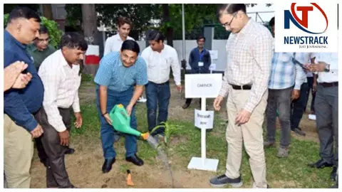 Prayagraj News: उत्तर मध्य रेलवे ने रचा इतिहास: एक पेड़ माँ के नाम अभियान में लगाए 1.11 करोड़ पौधे Prayagraj News: उत्तर मध्य रेलवे ने रचा इतिहास: एक पेड़ माँ के नाम अभियान में लगाए 1.11 करोड़ पौधे