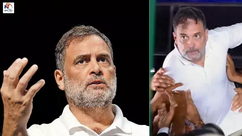 Rahul Gandhi Viral Post Rahul Gandhi Viral Post