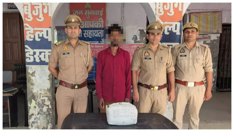 Accused arrested with 2 kg of ganja in Aligarh, sent to NDPS jail Accused arrested with 2 kg of ganja in Aligarh, sent to NDPS jail