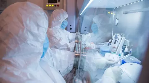 Russia Pneumonic Plague: रूस में रहस्यमयी मौत से मचा हड़कंप, ट्रंप प्रशासन ने पुतिन से मांगी जानकारी Russia Pneumonic Plague: रूस में रहस्यमयी मौत से मचा हड़कंप, ट्रंप प्रशासन ने पुतिन से मांगी जानकारी