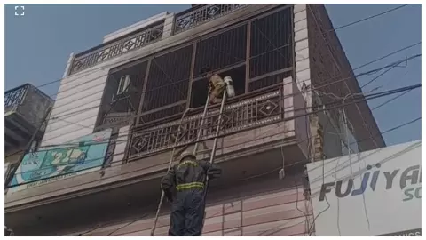Baghpat: बागपत में भीषण अग्निकांड ---- आग में जिंदा जलीं मां-बेटी, परिवार को बचाने में बेटा गंभीर Baghpat: बागपत में भीषण अग्निकांड ---- आग में जिंदा जलीं मां-बेटी, परिवार को बचाने में बेटा गंभीर
