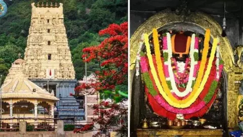 Narasimha Temple Mystery: Does Blood Really Come From the Stone Idol? Narasimha Temple Mystery: Does Blood Really Come From the Stone Idol?