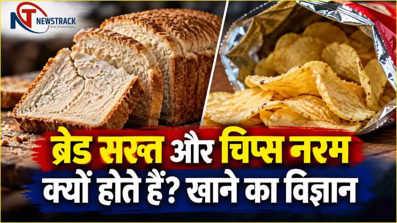 Food Science Facts Interesting Facts | Stale Bread Hard Chips Soft Why | Newstrack Hindi News