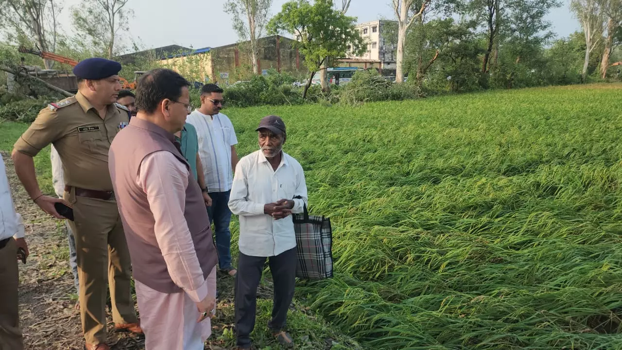 बाजपुर में भीषण ओलावृष्टि, किसानों के बीच पहुंचे CM धामी; नुकसान का आकलन करने के निर्देश