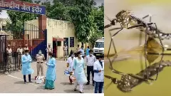 Dengue Cases in Jail