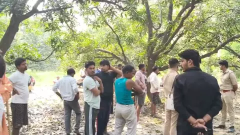 Kasganj News: आम के बाग में पेड़ से लटका मिला 16 वर्षीय किशोर का शव, इलाके में मची सनसनी Kasganj News: आम के बाग में पेड़ से लटका मिला 16 वर्षीय किशोर का शव, इलाके में मची सनसनी