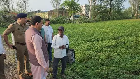 बाजपुर में भीषण ओलावृष्टि, किसानों के बीच पहुंचे CM धामी; नुकसान का आकलन करने के निर्देश