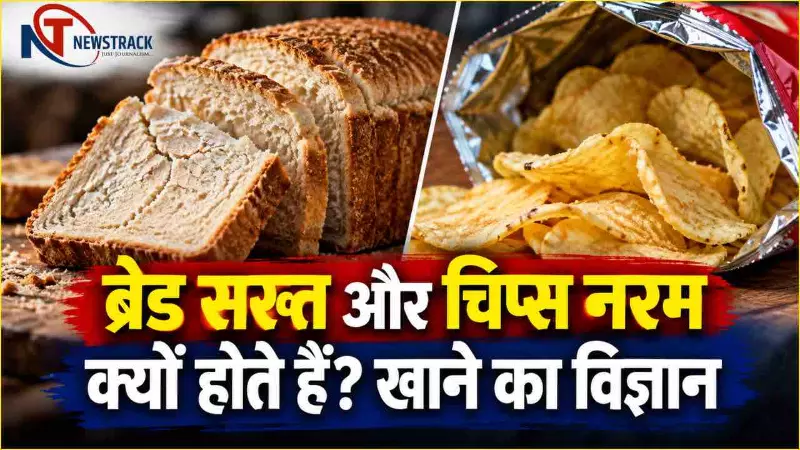 Food Science Facts Interesting Facts | Stale Bread Hard Chips Soft Why | Newstrack Hindi News