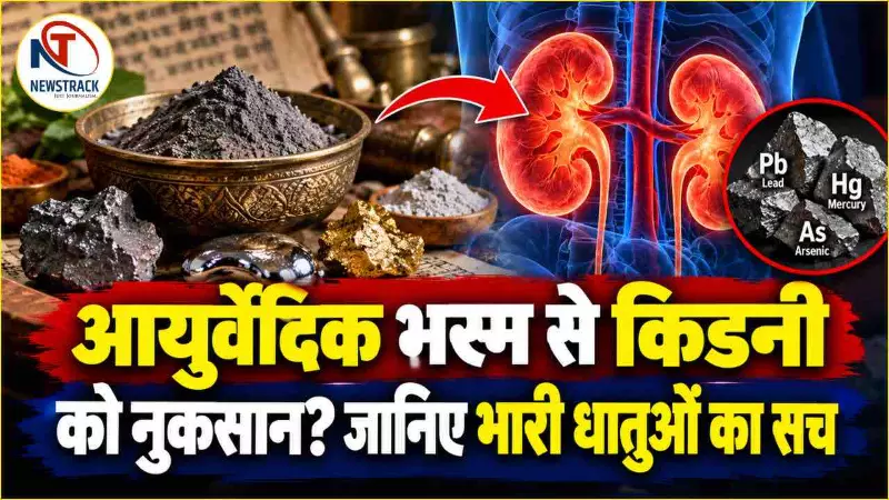 Ayurvedic Bhasma Kidney Damage Explained in Hindi | Newstrack Hindi News