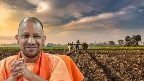 UP News