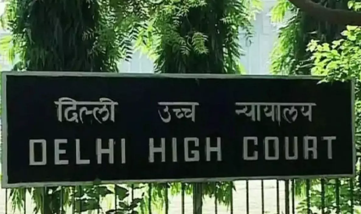 अब मनमाने तरीके से नहीं होगा प्रदर्शन? Delhi HC में SOP लागू करने की मांग, व्यापारियों के नुकसान का उठा मुद्दा