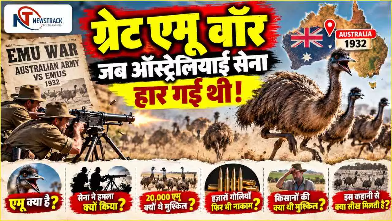Emu War History Great Emu War | Emu War 1932 Australia Emu War | Newstrack Hindi News