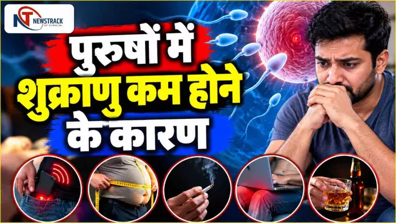 Sperm Count: पुरुषों में शुक्राणु क्यों घट रहे हैं? मोबाइल, मोटापा और धूम्रपान की भूमिका जानें Sperm Count: पुरुषों में शुक्राणु क्यों घट रहे हैं? मोबाइल, मोटापा और धूम्रपान की भूमिका जानें