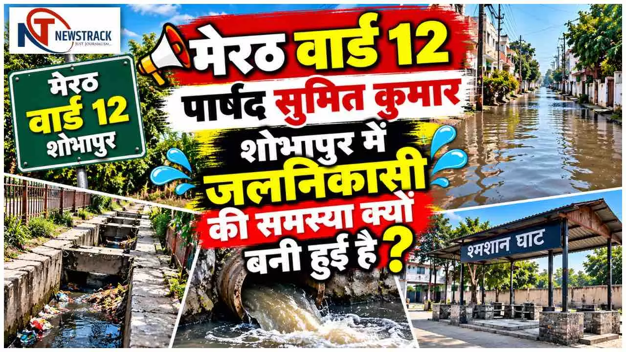 Meerut Nagar Nigam Ward 12 Shobhapur Parshad | Meerut Sabhasad Ki Jankari | Newstrack Hindi News Meerut Nagar Nigam Ward 12 Shobhapur Parshad | Meerut Sabhasad Ki Jankari | Newstrack Hindi News