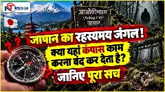 Aokigahara Forest Mystery in Hindi | Newstrack Hindi News Aokigahara Forest Mystery in Hindi | Newstrack Hindi News