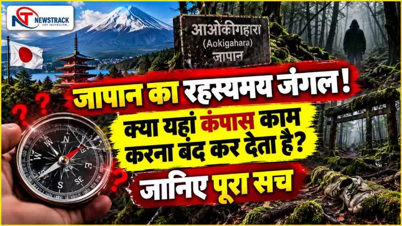 Aokigahara Forest Mystery in Hindi | Newstrack Hindi News Aokigahara Forest Mystery in Hindi | Newstrack Hindi News