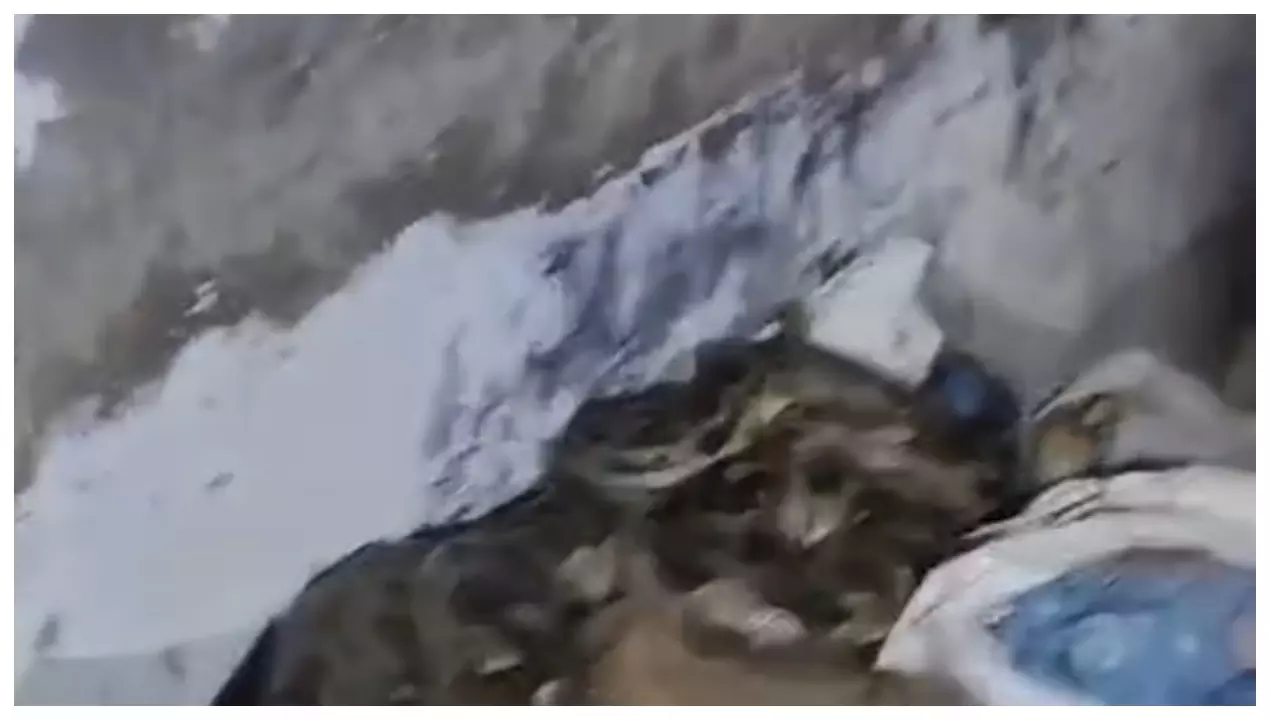 Fatehpur News: गांव में निकला 10 फीट लंबा अजगर, वन विभाग की टीम ने किया रेस्क्यू