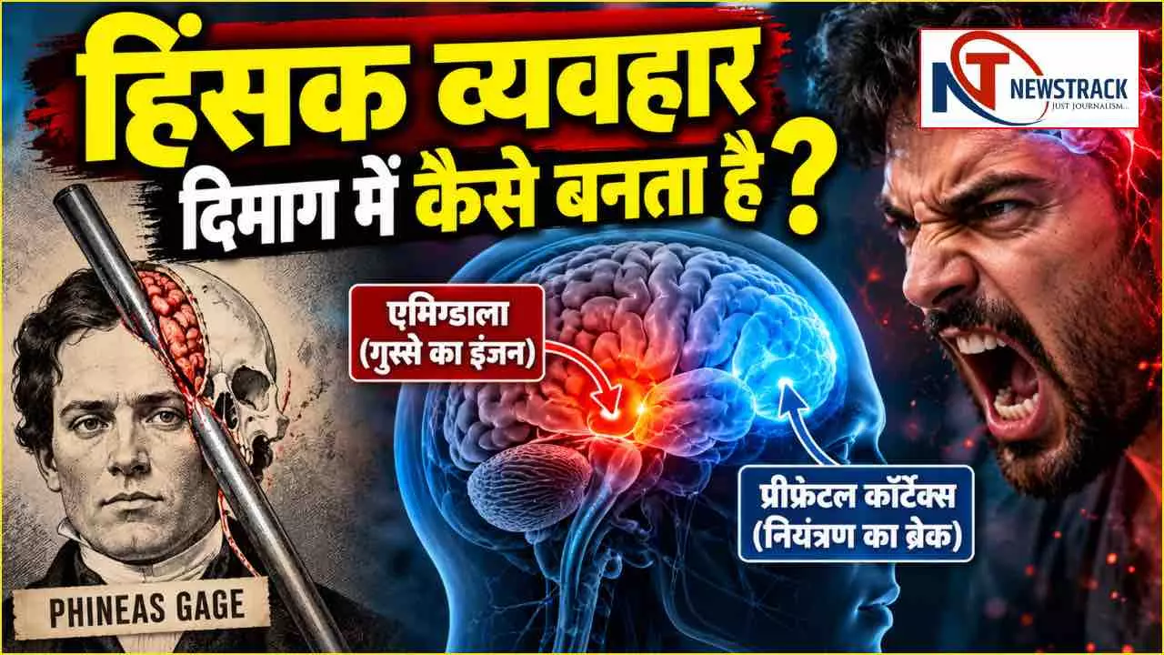 Violent Behavior Brain Science Explained in Hindi | Newstrack Hindi News Violent Behavior Brain Science Explained in Hindi | Newstrack Hindi News