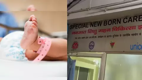 MP News: सिवनी अस्पताल में 80 नवजातों की मौत कैसे? BJP विधायक ने उठाए गंभीर सवाल