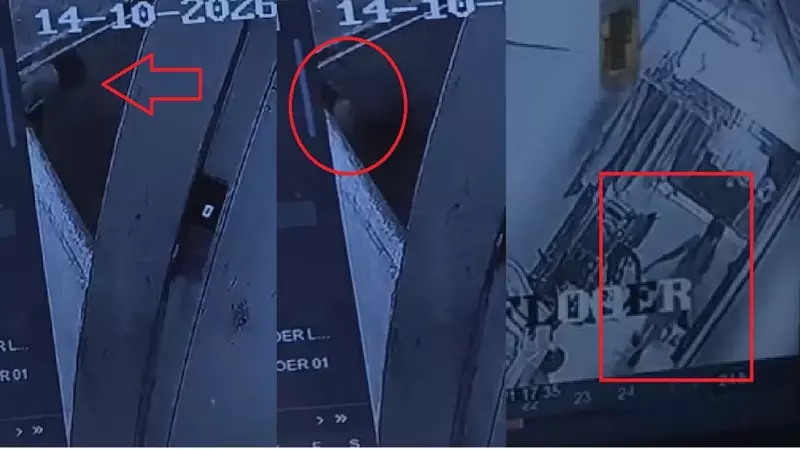 मुंबई: 18 महीने के मासूम की मौत, CCTV फुटेज में कैद हुई 10 साल की बच्ची की हरकत