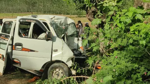 Echo tree full of devotees collides, 5 killed, 3 injured including father son