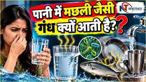 Fishy Smell in Water| Water Smell Causes, Drinking Water Quality | Newstrack Hindi News
