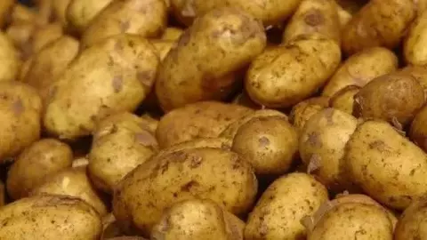 आलू की कीमत से ज्यादा कोल्ड स्टोरेज का किराया, इटावा में किसानों के सामने फसल छोड़ने की नौबत