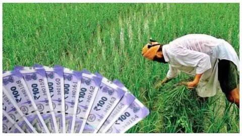 CG Crop Insurance Payment