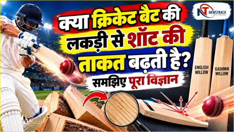 English Willow vs Kashmir Willow | Newstrack Hindi News
