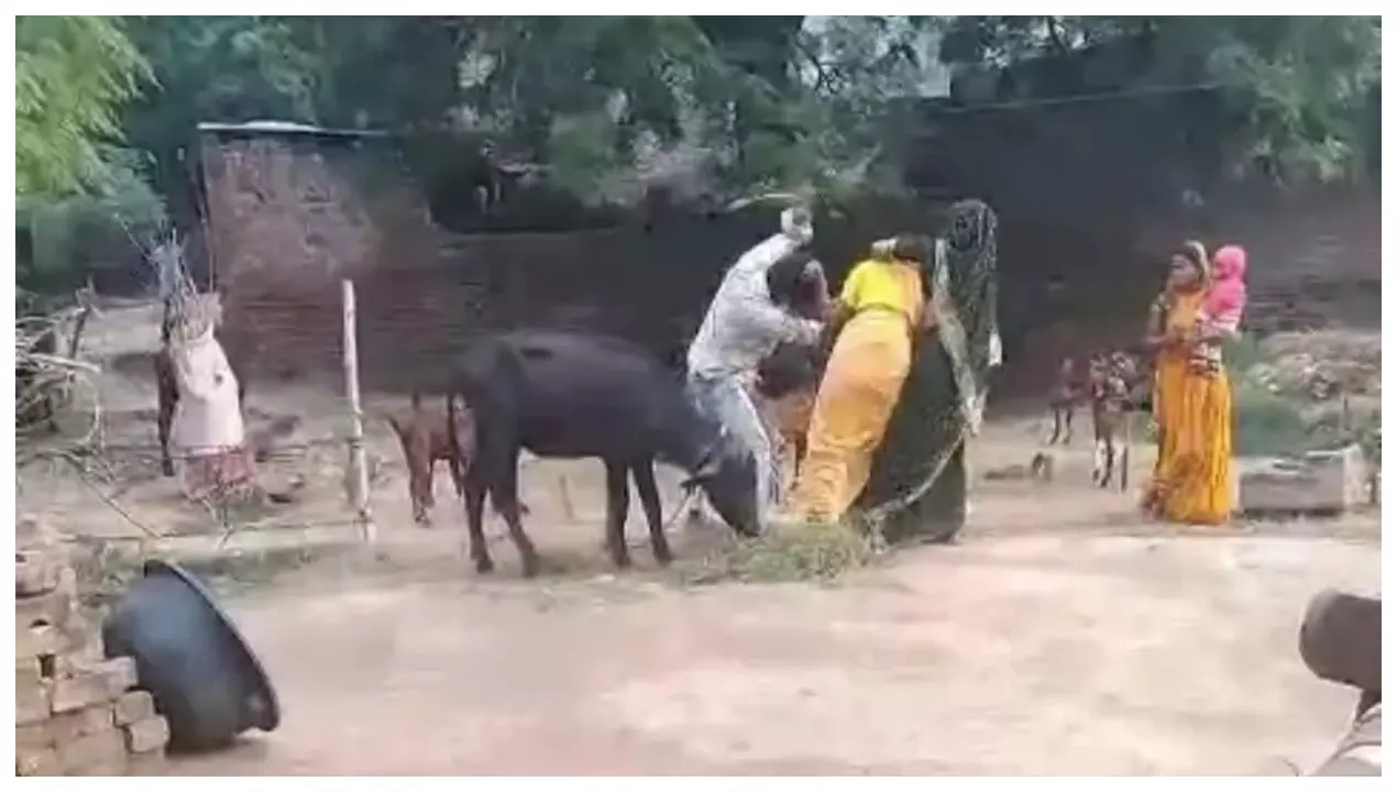 जमीन विवाद में महिला के सिर पर खुरपी से हमला, खून से लथपथ हालत में एसपी कार्यालय पहुंची पीड़िता