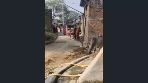 Mahoba News Mahoba News