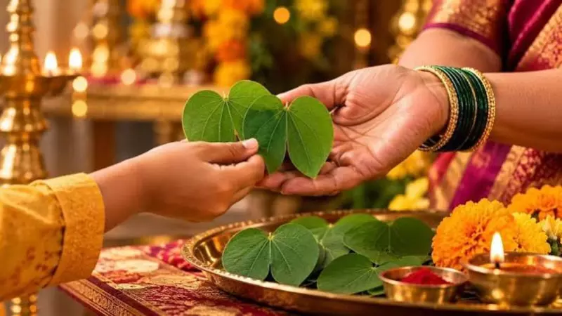 Dussehra 2026: Why Shami Leaves Are Exchanged as Gold on Vijayadashami Dussehra 2026: Why Shami Leaves Are Exchanged as Gold on Vijayadashami