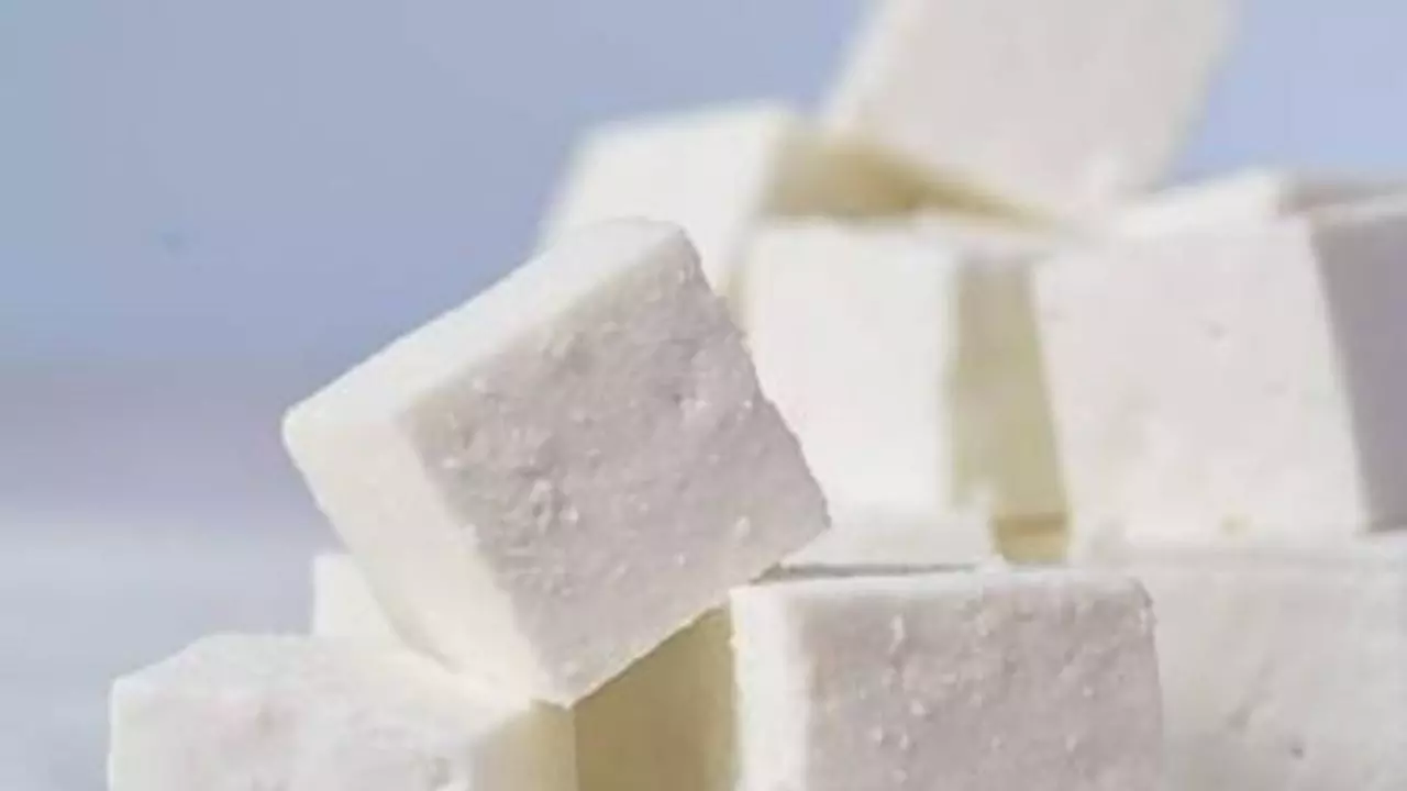 Analog Paneer Analog Paneer