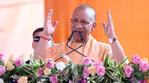 UP News UP News
